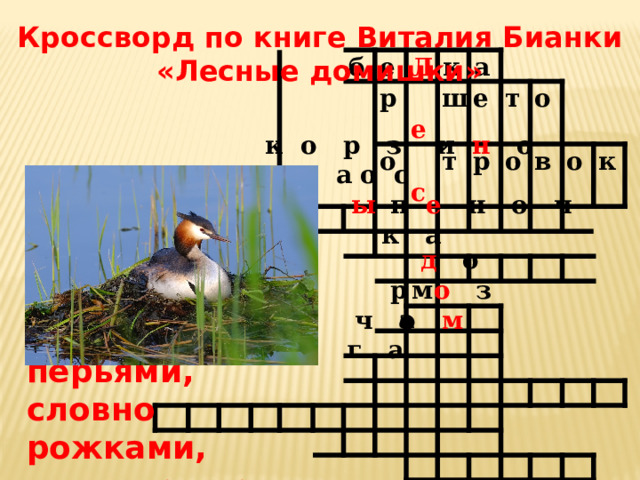 Кроссворд по книге Виталия Бианки «Лесные домишки» б е Л р к  е о а ш  с т е р т о о в о к  к о р  з и н о ч к а 9. Большеголовая птица, с торчащими на голове перьями, словно рожками, живущая на озере.  о с ы  п е  н о ч к а  д о м  р  о  з а  ч о м г а 