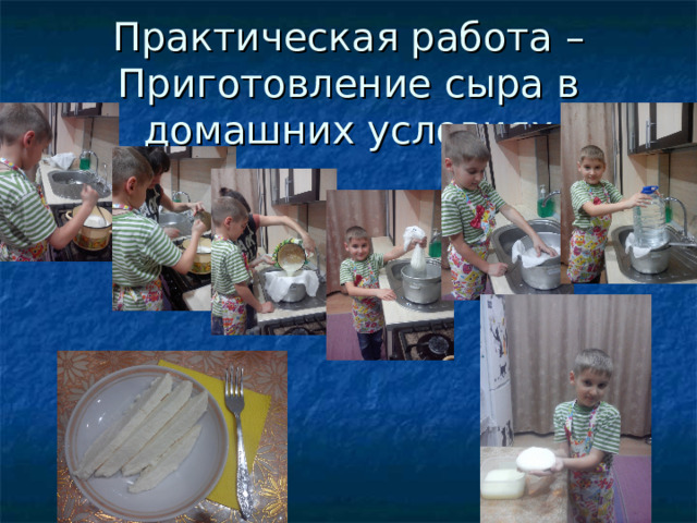 Практическая работа – Приготовление сыра в домашних условиях 