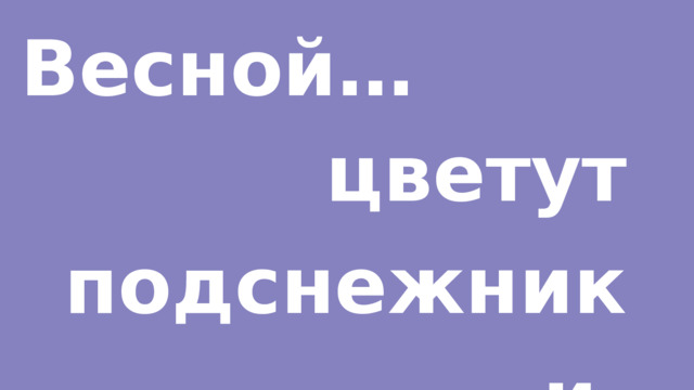 Весной… цветут подснежники. 