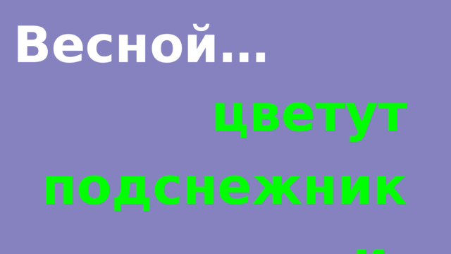 Весной… цветут подснежники. 