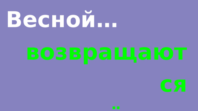 Весной… возвращаются перелётные птицы. 