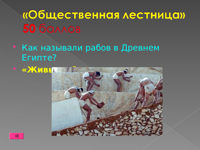 Как называли рабов в Древнем Египте? «Живые мёртвые» 