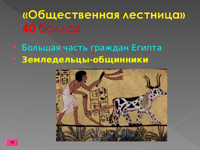 Большая часть граждан Египта Земледельцы-общинники 