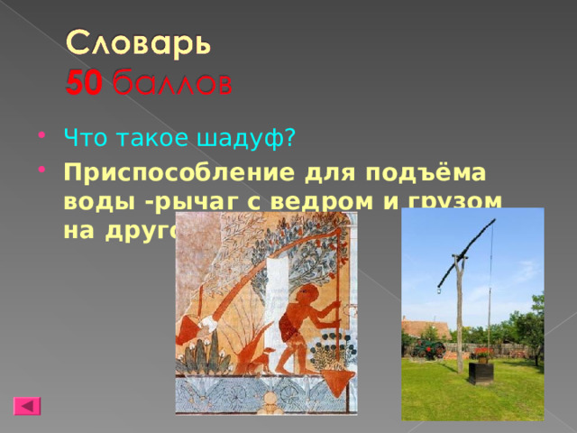 Что такое шадуф? Приспособление для подъёма воды -рычаг с ведром и грузом на другом конце 