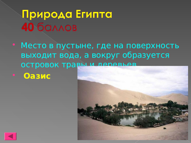 Место в пустыне, где на поверхность выходит вода, а вокруг образуется островок травы и деревьев   Оазис 