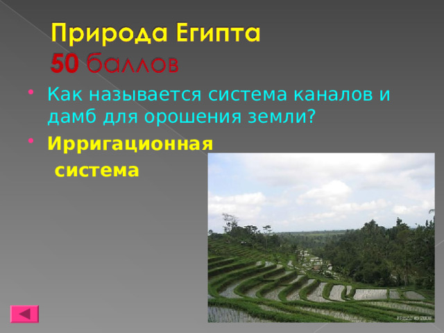 Как называется система каналов и дамб для орошения земли? Ирригационная  система 