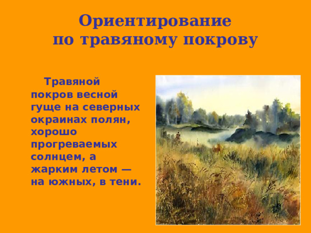 Ориентирование  по травяному покрову  Травяной покров весной гуще на северных окраинах полян, хорошо прогреваемых солнцем, а жарким летом — на южных, в тени. 