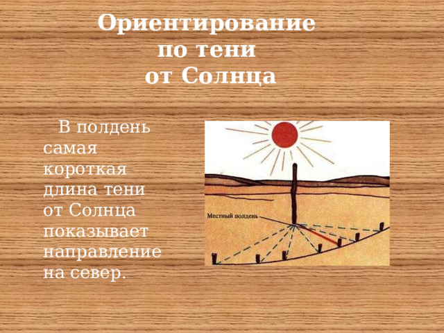 Ориентирование  по тени  от Солнца  В полдень самая короткая длина тени от Солнца показывает направление на север. 