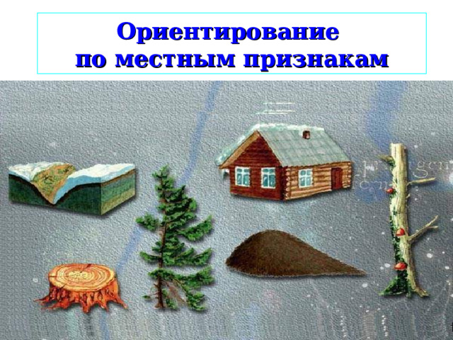 Ориентирование  по местным признакам 