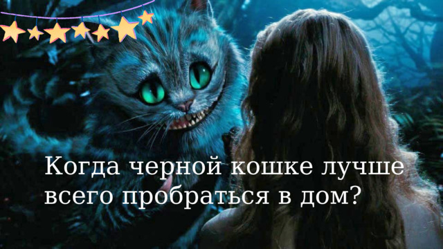 Когда черной кошке лучше всего пробраться в дом?  