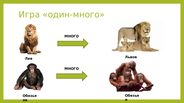 Игра «один-много» МНОГО Львов Лев МНОГО Обезьян Обезьяна 