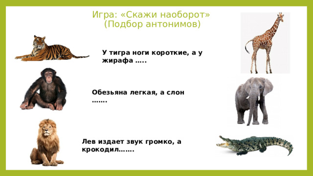 Игра: «Скажи наоборот»  (Подбор антонимов) У тигра ноги короткие, а у жирафа ….. Обезьяна легкая, а слон ……. Лев издает звук громко, а крокодил……. 