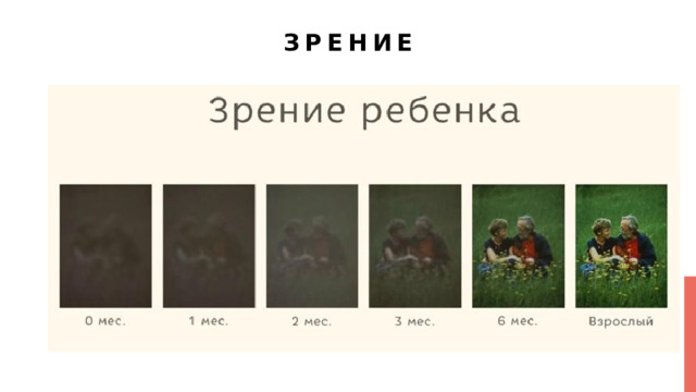 Зрение 
