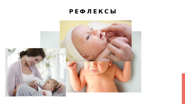 Рефлексы 