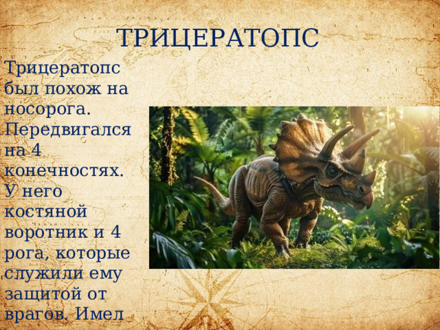 ТРИЦЕРАТОПС Трицератопс был похож на носорога. Передвигался на 4 конечностях. У него костяной воротник и 4 рога, которые служили ему защитой от врагов. Имел клыв. 