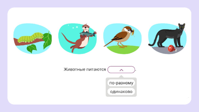 Повторение  — Сделайте вывод. Животные питаются одинаково или по-разному?  