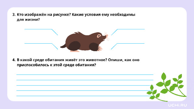 Закрепление (базовый уровень) *скрин рабочего листа во всю белую область*  