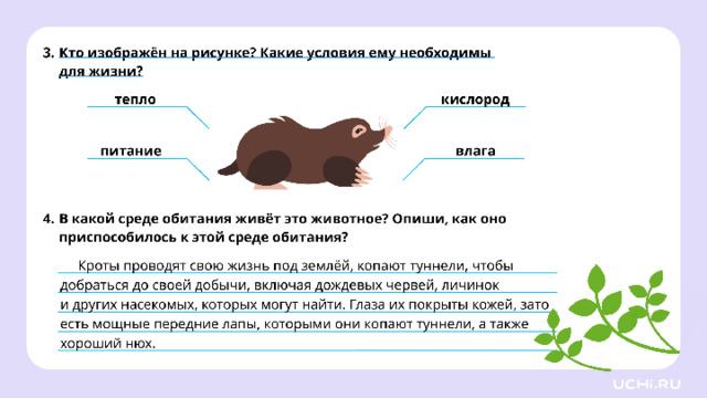 *скрин с ответом рабочего листа во всю белую область* Проверка  