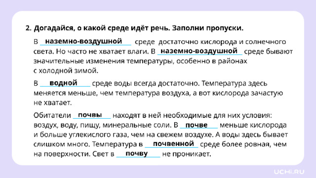 *скрин с ответом рабочего листа во всю белую область* Проверка  