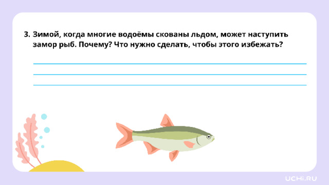 *скрин рабочего листа во всю белую область* Закрепление (повышенный уровень)  