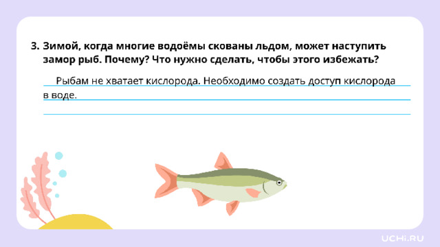 *скрин с ответом рабочего листа во всю белую область* Проверка  