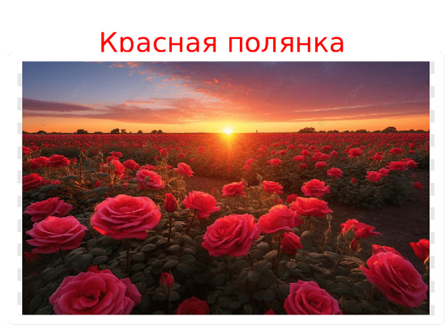 Красная полянка 