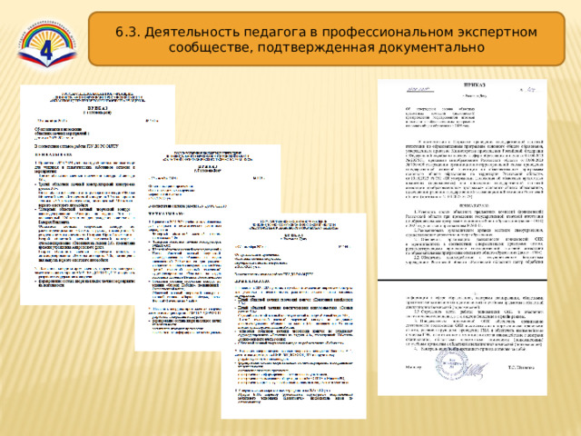 6.3. Деятельность педагога в профессиональном экспертном сообществе, подтвержденная документально 