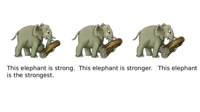 This elephant is strong. This elephant is stronger. This elephant is the strongest. 