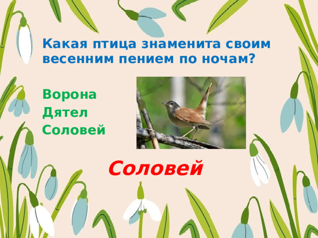 Какая птица знаменита своим весенним пением по ночам?  Ворона Дятел Соловей   Соловей 