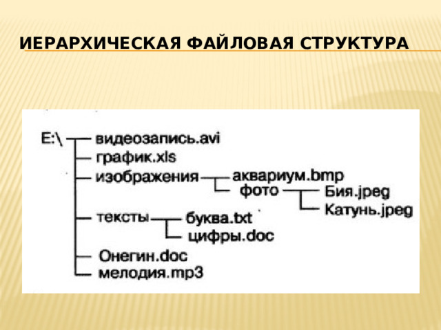 Иерархическая файловая структура 