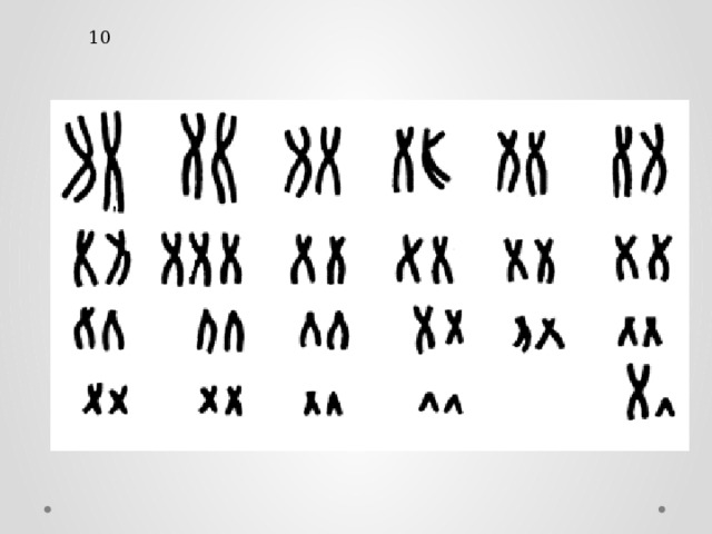 10 