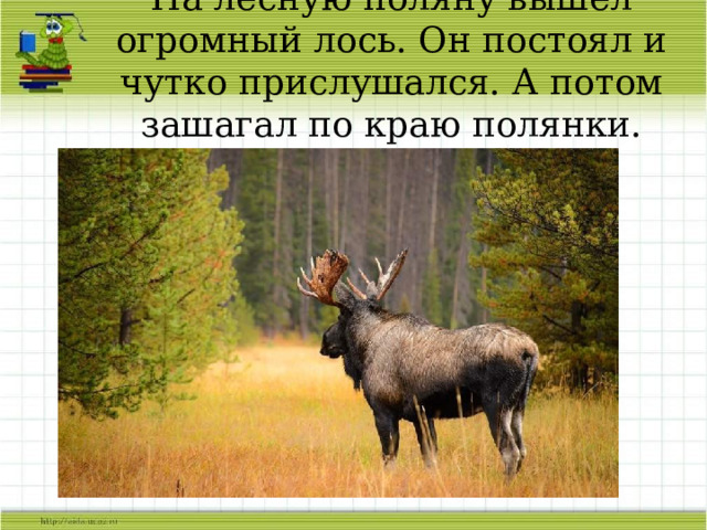 На лесную поляну вышел огромный лось. Он постоял и чутко прислушался. А потом зашагал по краю полянки. 
