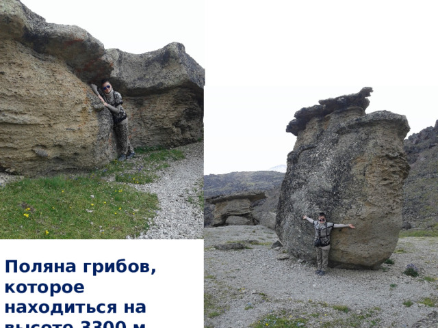 Поляна грибов, которое находиться на высоте 3300 м 