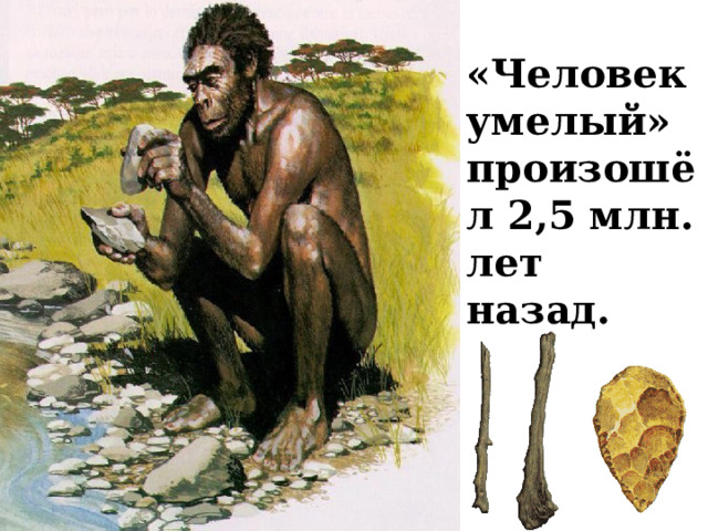 «Человек умелый» произошёл 2,5 млн. лет назад. 