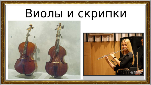 Виолы и скрипки 
