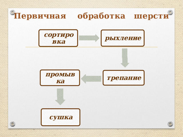 Первичная обработка шерсти сортировка рыхление промывка трепание сушка 