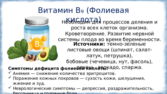 Витамин B₉ (Фолиевая кислота) Необходим для процессов деления и роста всех клеток организма. Кроветворение. Развитие нервной системы плода во время беременности. В 9 Источники: темно-зеленые листовые овощи (шпинат, салат-латук, петрушка), бобовые (чечевица, нут, фасоль), печень, авокадо, спаржа. Симптомы дефицита фолиевой кислоты: Анемия — снижение количества эритроцитов. Поражение кожных покровов — сухость кожи, шелушения, жжение и зуд. Неврологические симптомы — депрессия, раздражительность, бессонница и головные боли. 