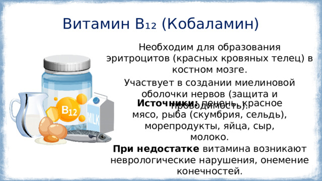 Витамин B₁₂ (Кобаламин) Необходим для образования эритроцитов (красных кровяных телец) в костном мозге. Участвует в создании миелиновой оболочки нервов (защита и проводимость). Источники: печень, красное мясо, рыба (скумбрия, сельдь), морепродукты, яйца, сыр, молоко. При недостатке витамина возникают неврологические нарушения, онемение конечностей. 
