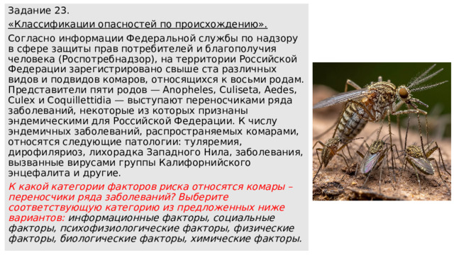 Задание 23. «Классификации опасностей по происхождению». Согласно информации Федеральной службы по надзору в сфере защиты прав потребителей и благополучия человека (Роспотребнадзор), на территории Российской Федерации зарегистрировано свыше ста различных видов и подвидов комаров, относящихся к восьми родам. Представители пяти родов — Anopheles, Culiseta, Aedes, Culex и Coquillettidia — выступают переносчиками ряда заболеваний, некоторые из которых признаны эндемическими для Российской Федерации. К числу эндемичных заболеваний, распространяемых комарами, относятся следующие патологии: туляремия, дирофиляриоз, лихорадка Западного Нила, заболевания, вызванные вирусами группы Калифорнийского энцефалита и другие. К какой категории факторов риска относятся комары – переносчики ряда заболеваний? Выберите соответствующую категорию из предложенных ниже вариантов: информационные факторы, социальные факторы, психофизиологические факторы, физические факторы, биологические факторы, химические факторы. 