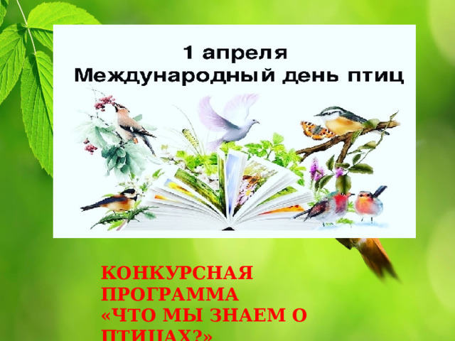 КОНКУРСНАЯ ПРОГРАММА «ЧТО МЫ ЗНАЕМ О ПТИЦАХ?» 