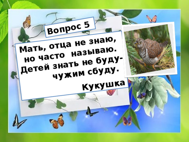 Вопрос 5 Мать, отца не знаю, но часто называю. Детей знать не буду-  чужим сбуду.   Кукушка 