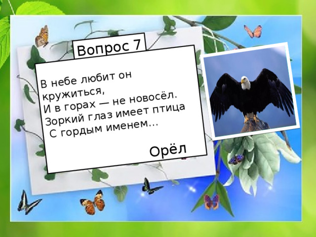 Вопрос 7 В небе любит он кружиться, И в горах — не новосёл. Зоркий глаз имеет птица  С гордым именем…  Орёл 