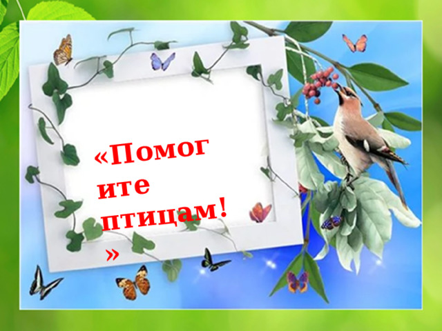 «Помогите птицам! » 