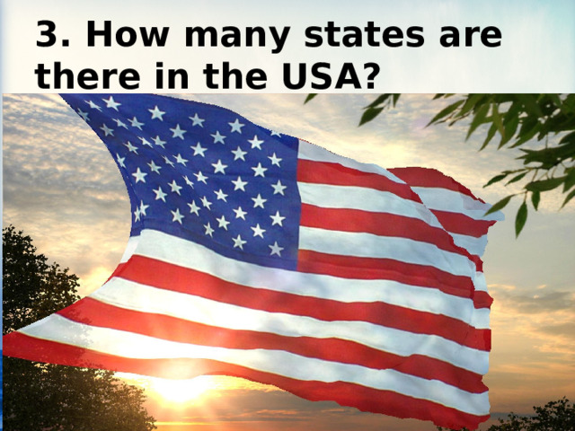 3. How many states are there in the USA? 