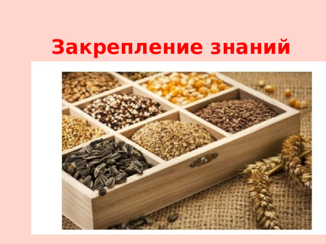 Закрепление знаний 
