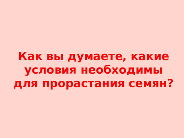 Как вы думаете, какие условия необходимы для прорастания семян? 