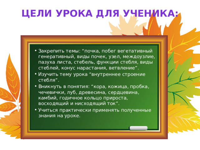 Цели урока для ученика:   Закрепить темы: “почка, побег вегетативный генеративный, виды почек, узел, междоузлие, пазуха листа, стебель, функции стебля, виды стеблей, конус нарастания, ветвление”. Изучить тему урока “внутреннее строение стебля”. Вникнуть в понятия: “кора, кожица, пробка, чечевички, луб, древесина, сердцевина, камбий, годичное кольцо прироста, восходящий и нисходящий ток”. Учиться практически применять полученные знания на уроке. 