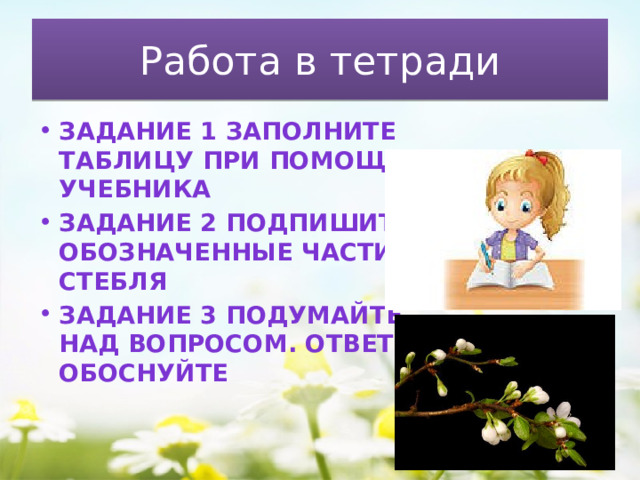 Работа в тетради Задание 1 Заполните таблицу при помощи учебника Задание 2 Подпишите обозначенные части стебля Задание 3 Подумайте над вопросом. Ответ обоснуйте 
