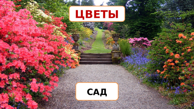ЦВЕТЫ САД 