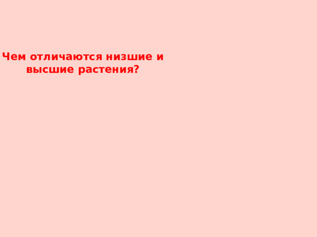 Чем отличаются низшие и высшие растения? 